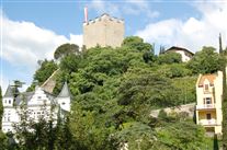 Click for large image