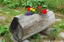 Click for large image