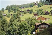 Click for large image