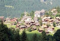 Click for large image